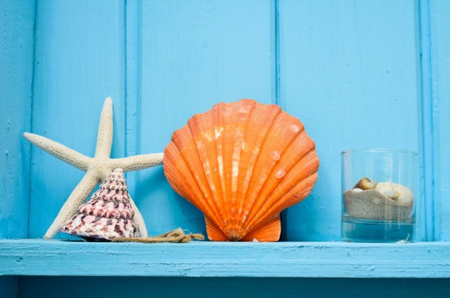 Créer une déco coquillage pour une ambiance bohème