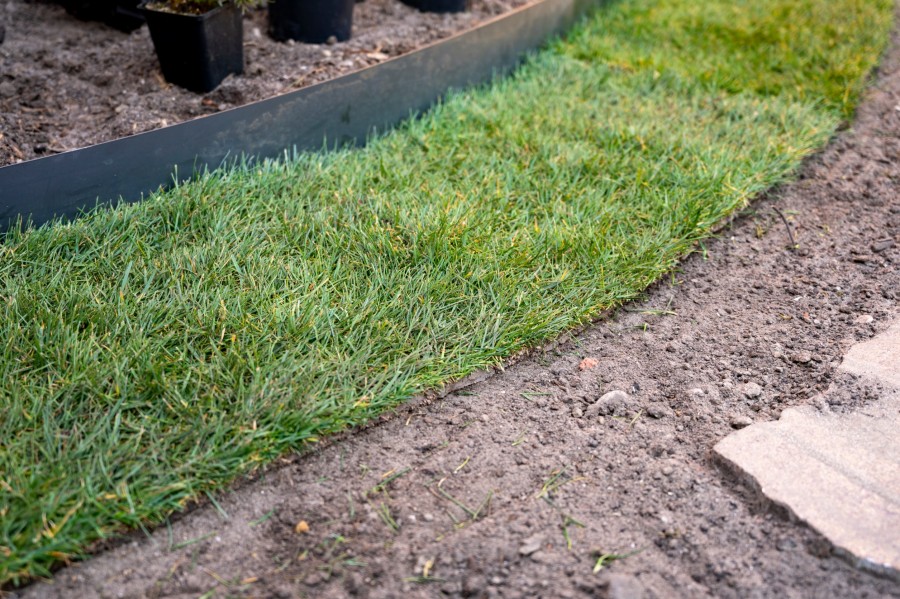 Jardinières et massifs avec différents types de bordures de pelouse